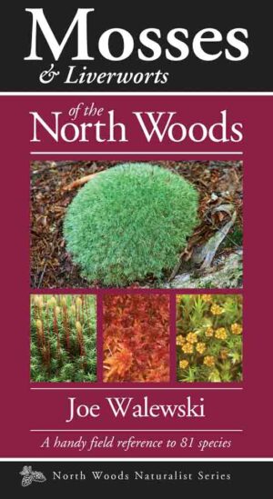 Mosses & Liverworts of the North Woods