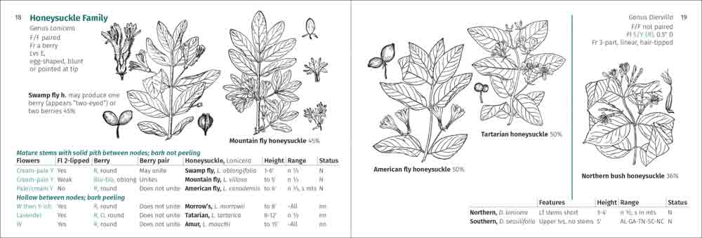 Shrub Finder - Image 2