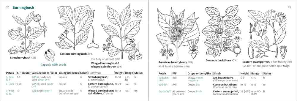 Shrub Finder - Image 3
