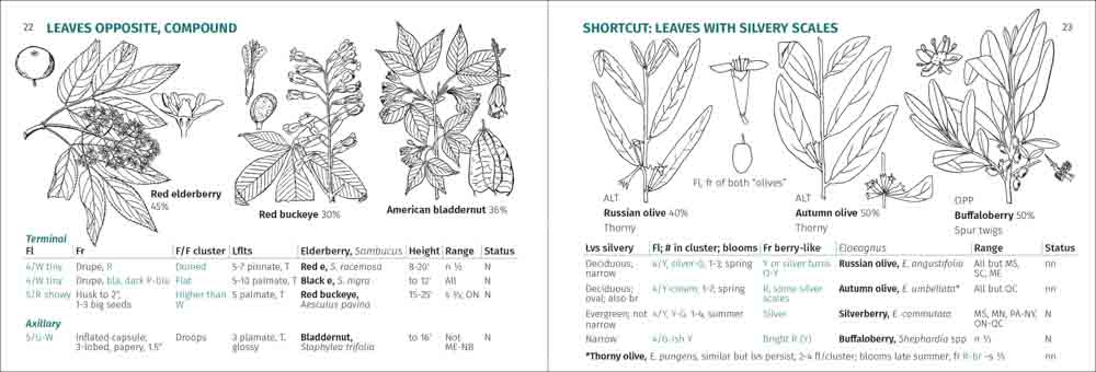 Shrub Finder - Image 4