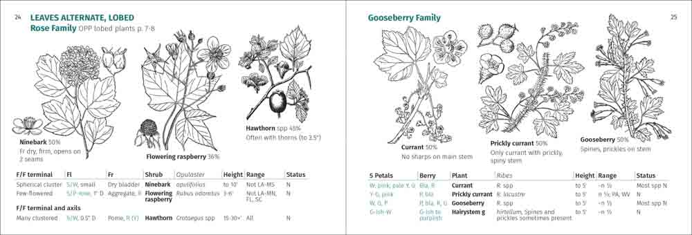 Shrub Finder - Image 5
