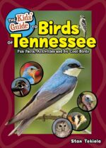 Kids' Guide to Birds of Tennessee