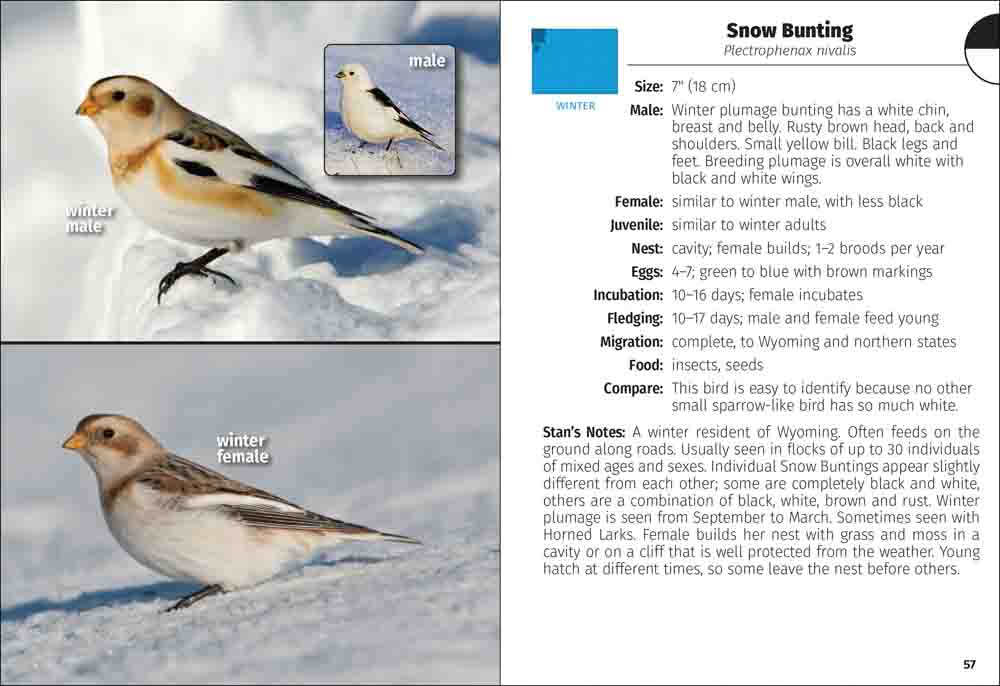 Birds of Wyoming Field Guide - Image 2