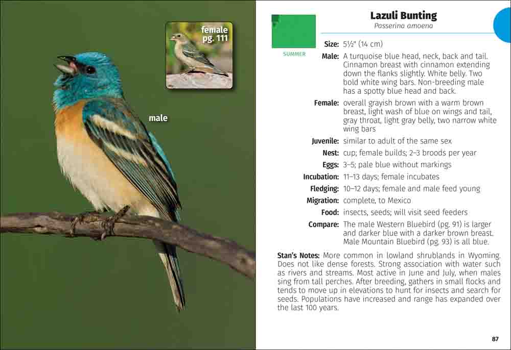 Birds of Wyoming Field Guide - Image 3