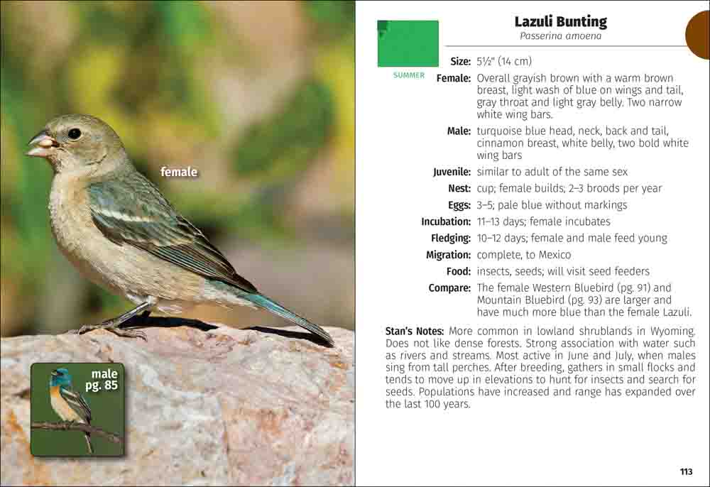 Birds of Wyoming Field Guide - Image 4