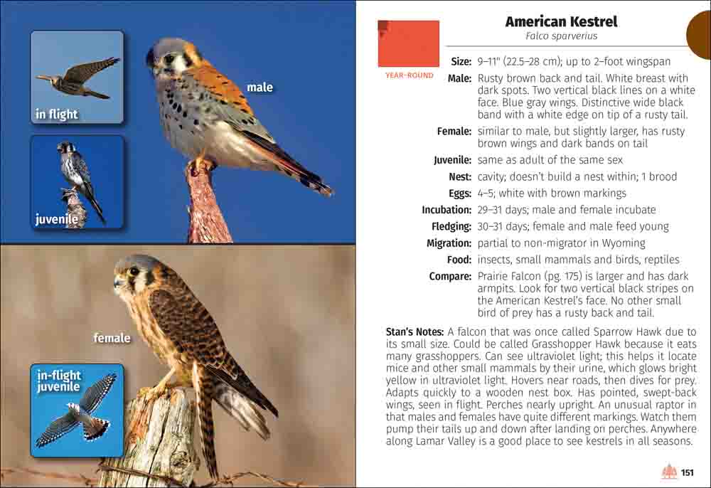 Birds of Wyoming Field Guide - Image 5