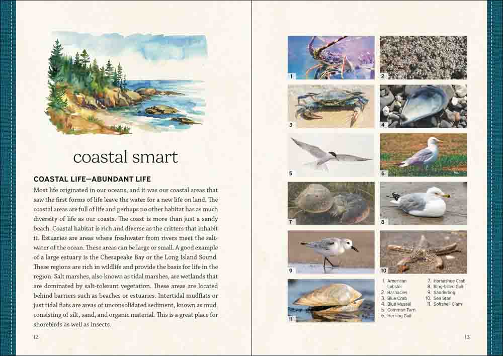 Nature Smart: Northeast - Image 2