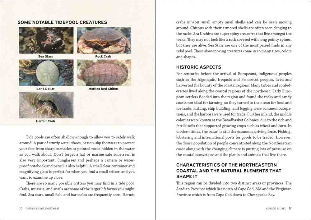 Nature Smart: Northeast - Image 4