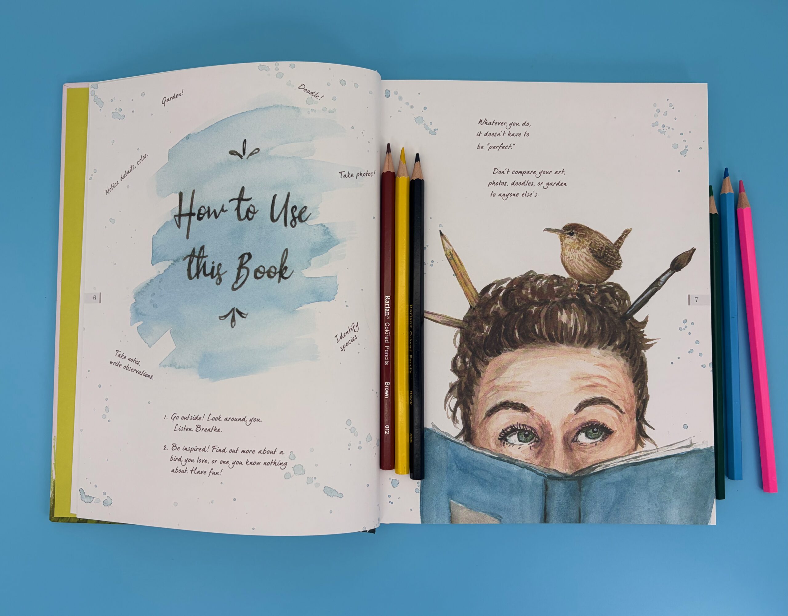 Drawn to Birds - Signed Copy - Image 2