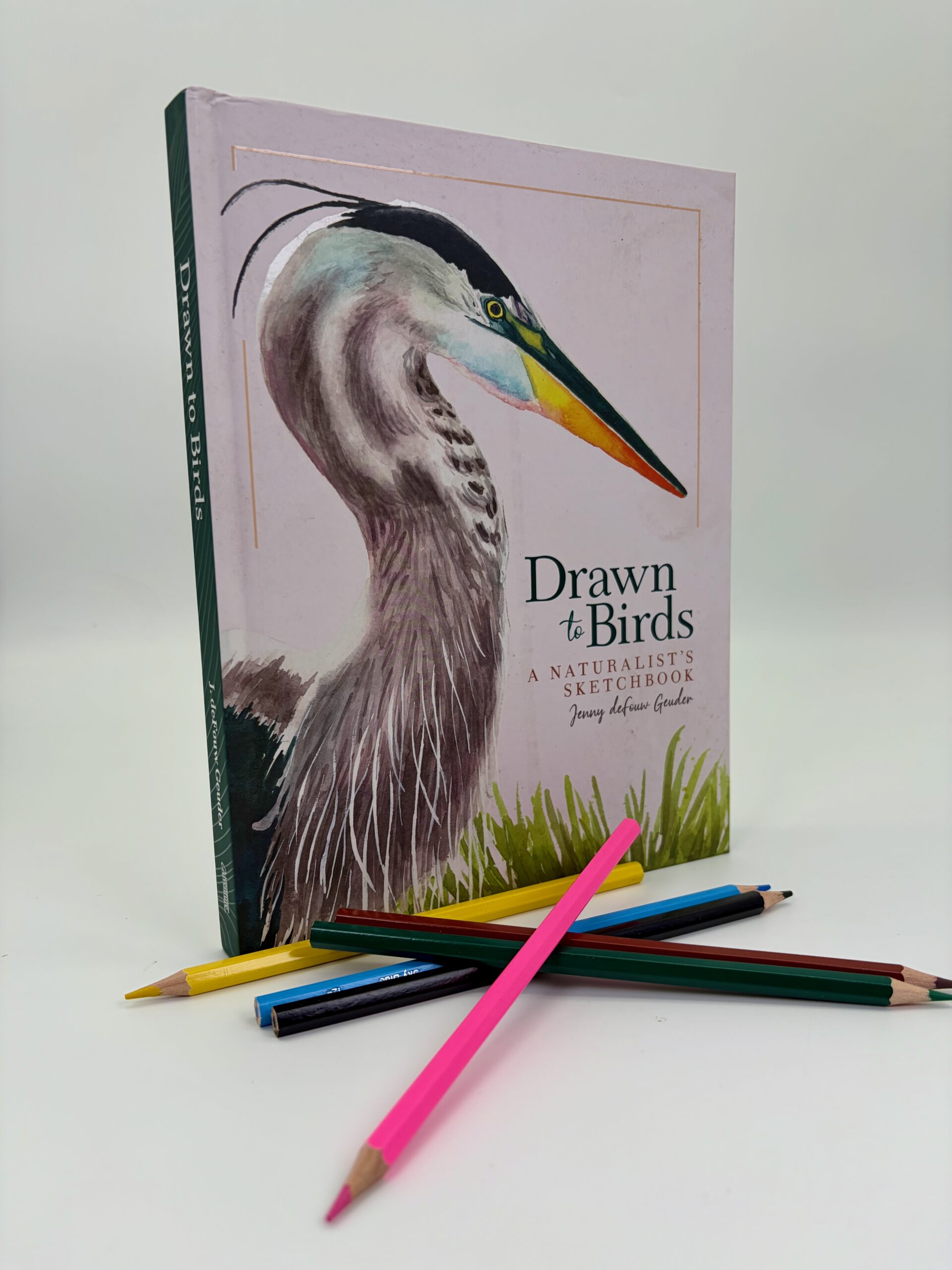 Drawn to Birds - Signed Copy - Image 4