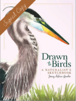 Drawn to Birds - Signed Copy
