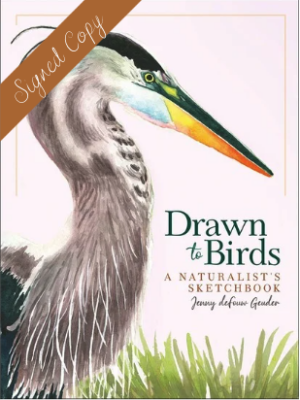 Drawn to Birds - Signed Copy