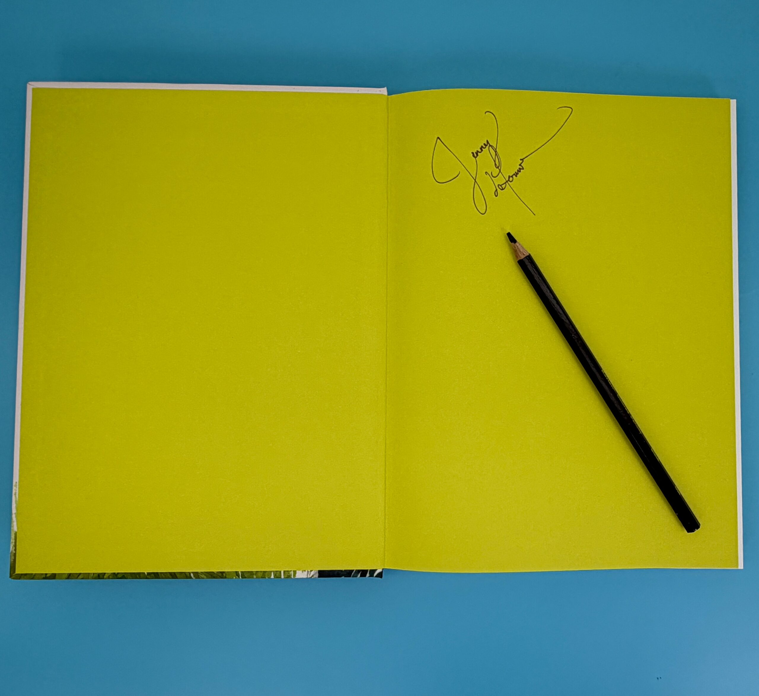 Drawn to Birds - Signed Copy - Image 3