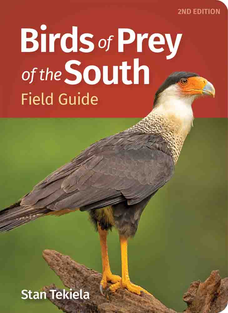 Birds of Prey of the South Field Guide