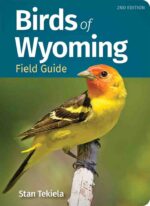 Birds of Wyoming Field Guide
