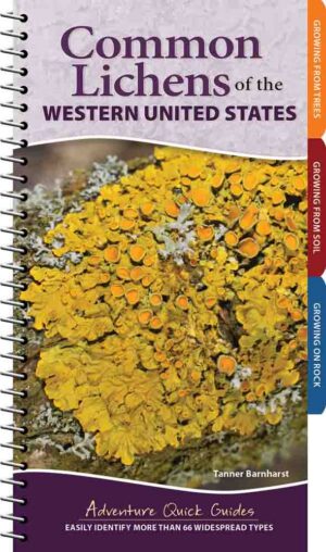 Common Lichens of the Western United States