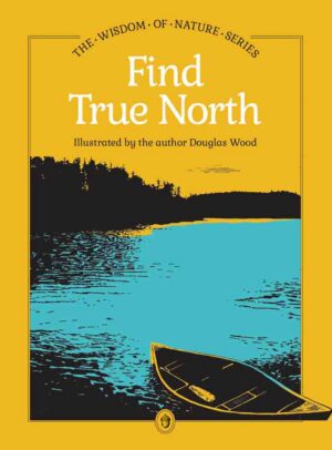 Find True North