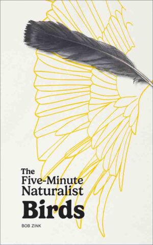 Five-Minute Naturalist: Birds