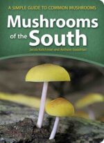 Mushrooms of the South