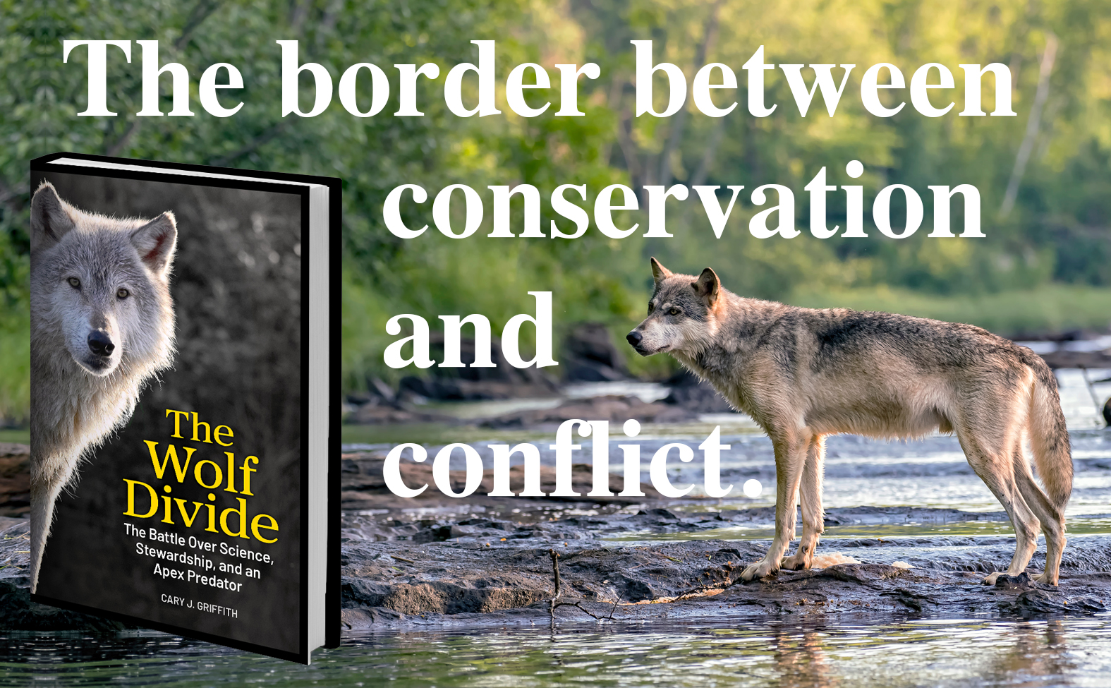 The Wolf Divide - Image 3
