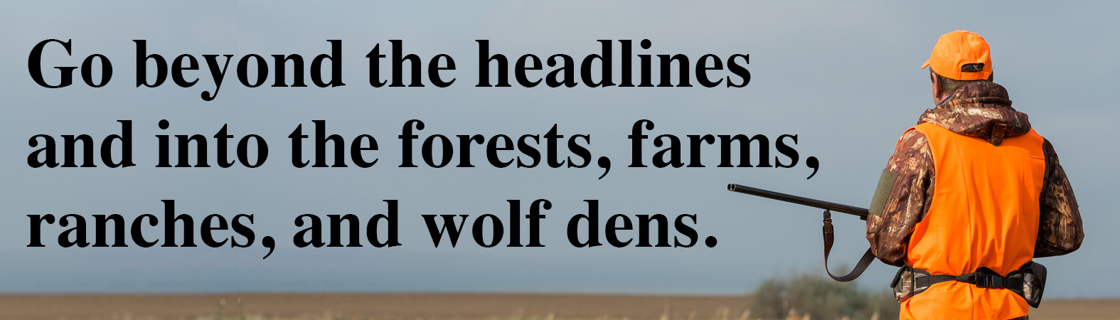 The Wolf Divide - Image 4