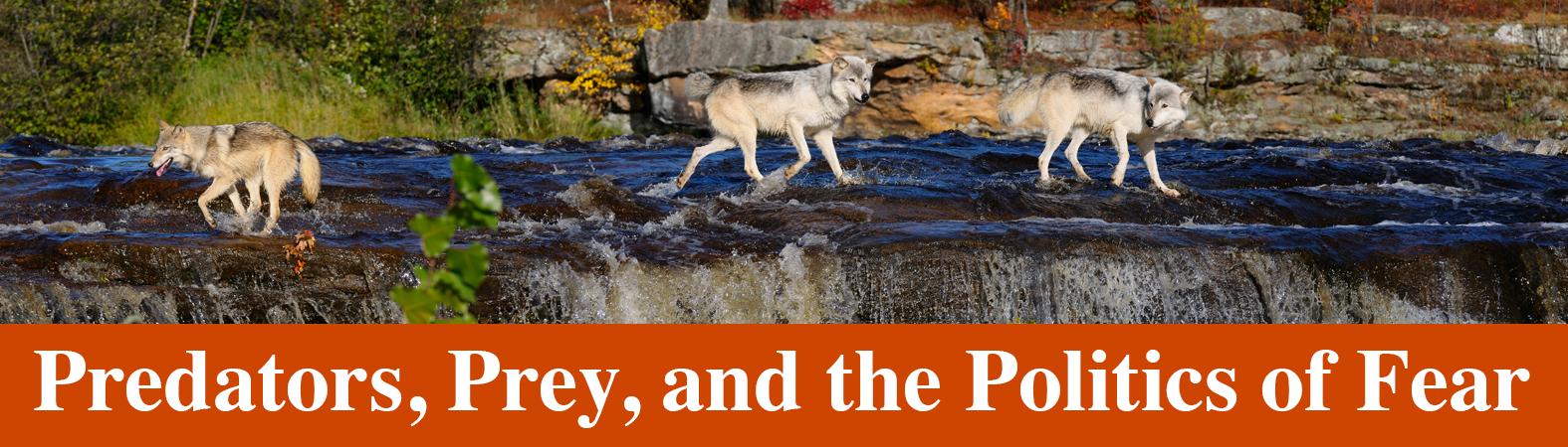 The Wolf Divide - Image 6