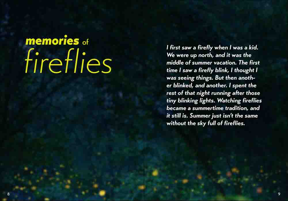 Fireflies Book - Image 3