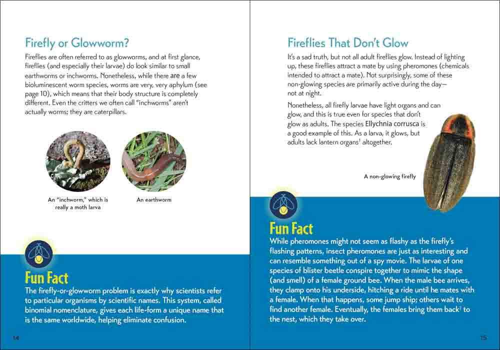Fireflies Book - Image 5