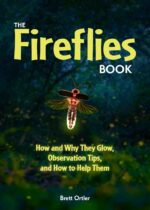 Fireflies Book