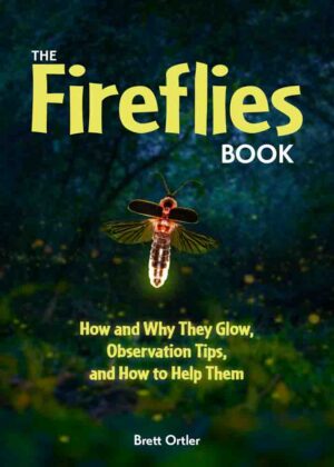 Fireflies Book