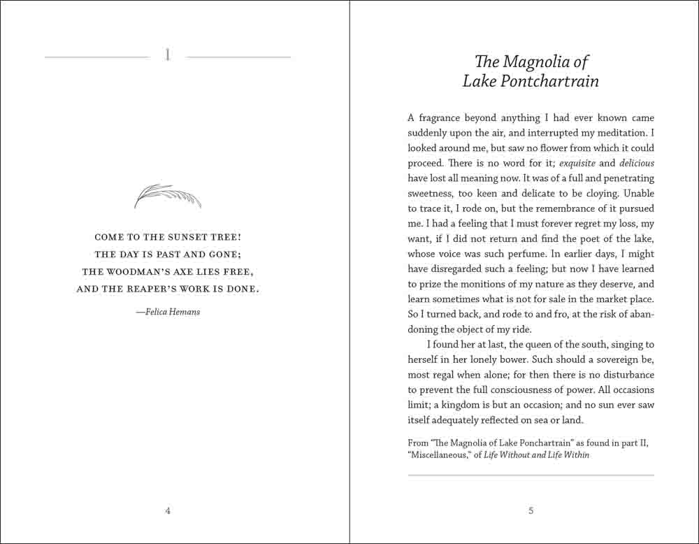 Meditations of Mary Hunter Austin - Image 2