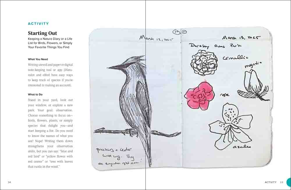 Nature Journaling for Mindfulness, Art, and Science - Image 2