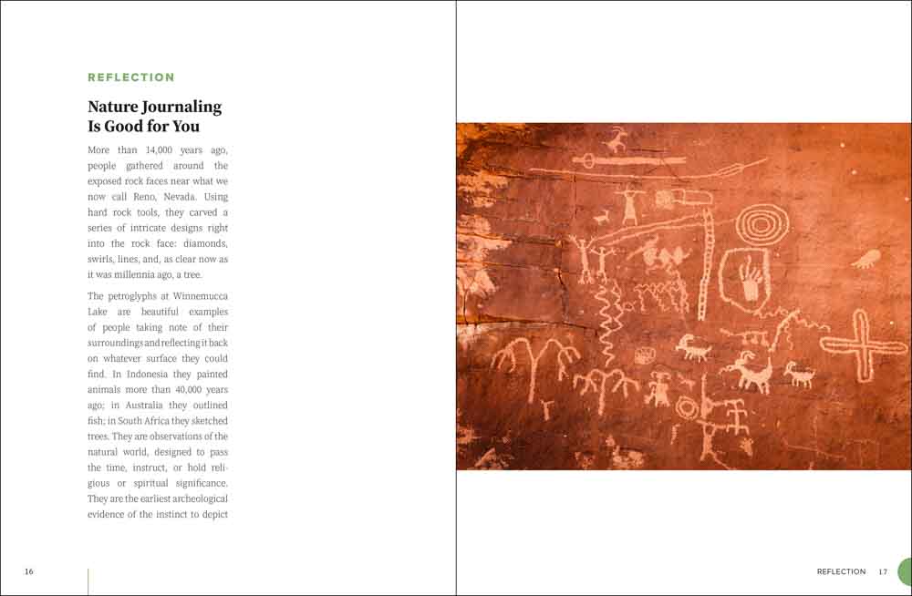 Nature Journaling for Mindfulness, Art, and Science - Image 3