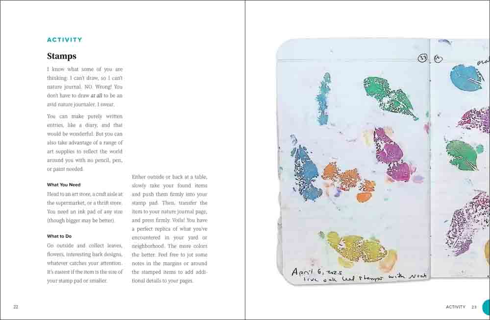 Nature Journaling for Mindfulness, Art, and Science - Image 4